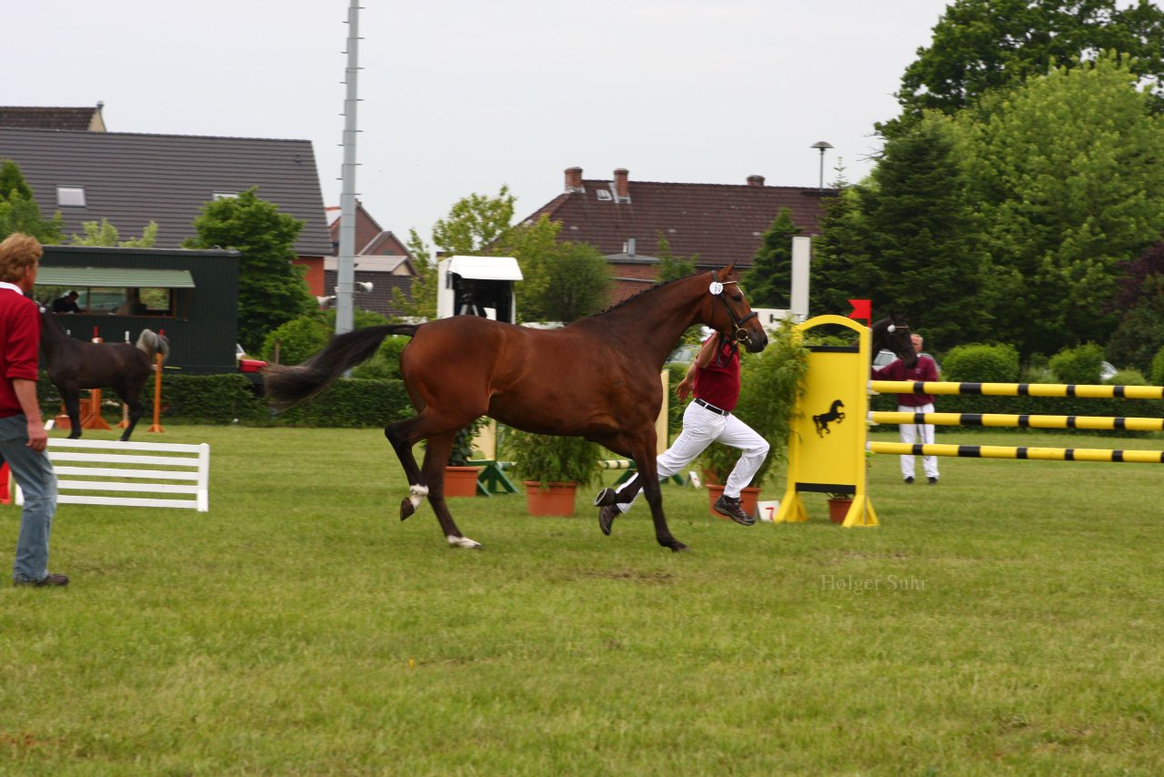 Bild 103 - Elmshorn am 9.6.10